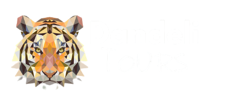 Dandeli Tours Package Logo